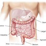 check-up gastroenterologo