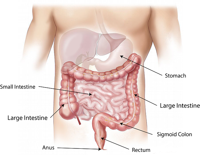 CHECK-UP GASTROENTEROLOGICO