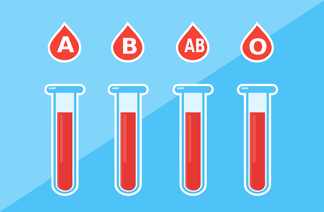 CHECK-UP ANEMIA